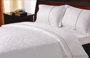 保定酒店一次性用品批發(fā)指南 廠家、價(jià)格、圖片與采購要點(diǎn)